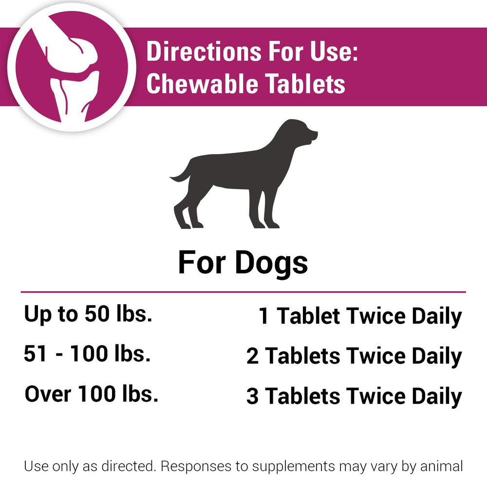 Uso diario de Vet Classics Pain Plus para apoyo ocasional de movilidad en perros.