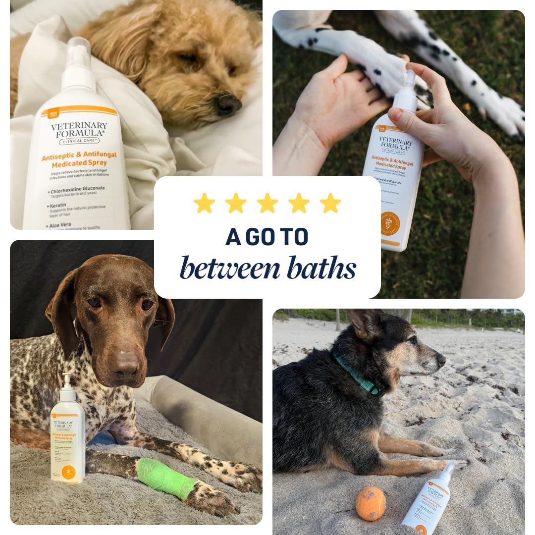 Apto para perros y gatos, libre de parabenos y colorantes.