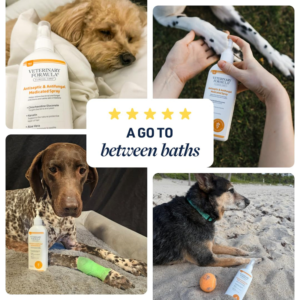 Apto para perros y gatos, libre de parabenos y colorantes.