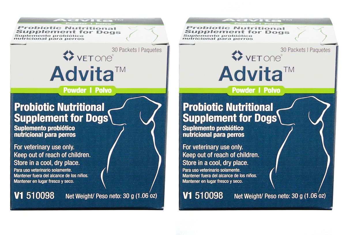 Vet One Advita para perros: probiótico para apoyar la digestión diaria.