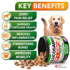 Vet Promise condroitina para articulaciones de perro, apoyo al cartílago.