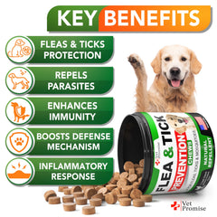 Vet Promise: envase con comprimidos, ideal para mantener el cuidado preventivo.