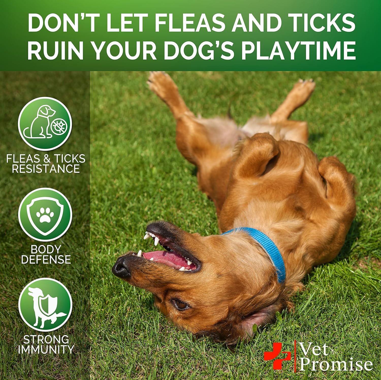 Vet Promise: formulado por veterinarios para perros de todas las razas.