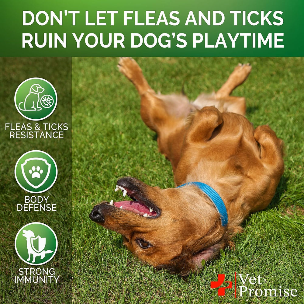 Vet Promise: formulado por veterinarios para perros de todas las razas.