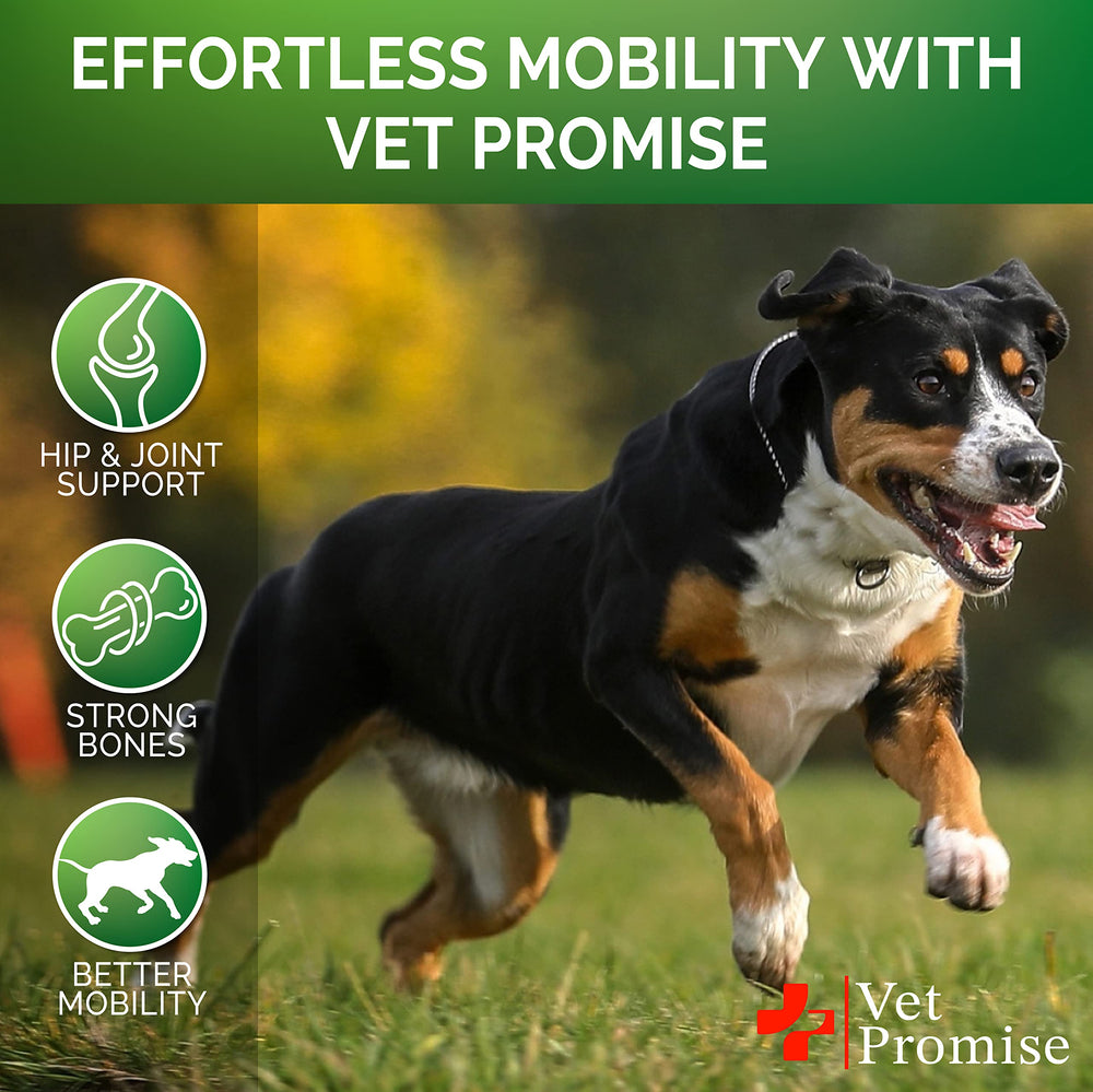 Vet Promise glucosamina y condroitina, cuidado de articulaciones caninas.