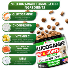 Vet Promise Glucosamina para perros, frasco práctico para uso continuo.
