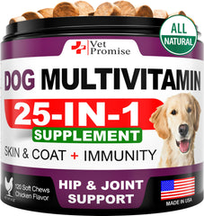 Vet Promise Multivitamin para perros, botella de masticables, apoyo a la salud general
