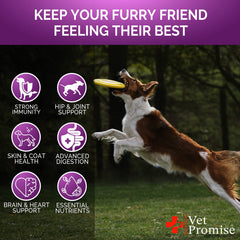 Vet Promise 6 probióticos para digestión saludable en perros