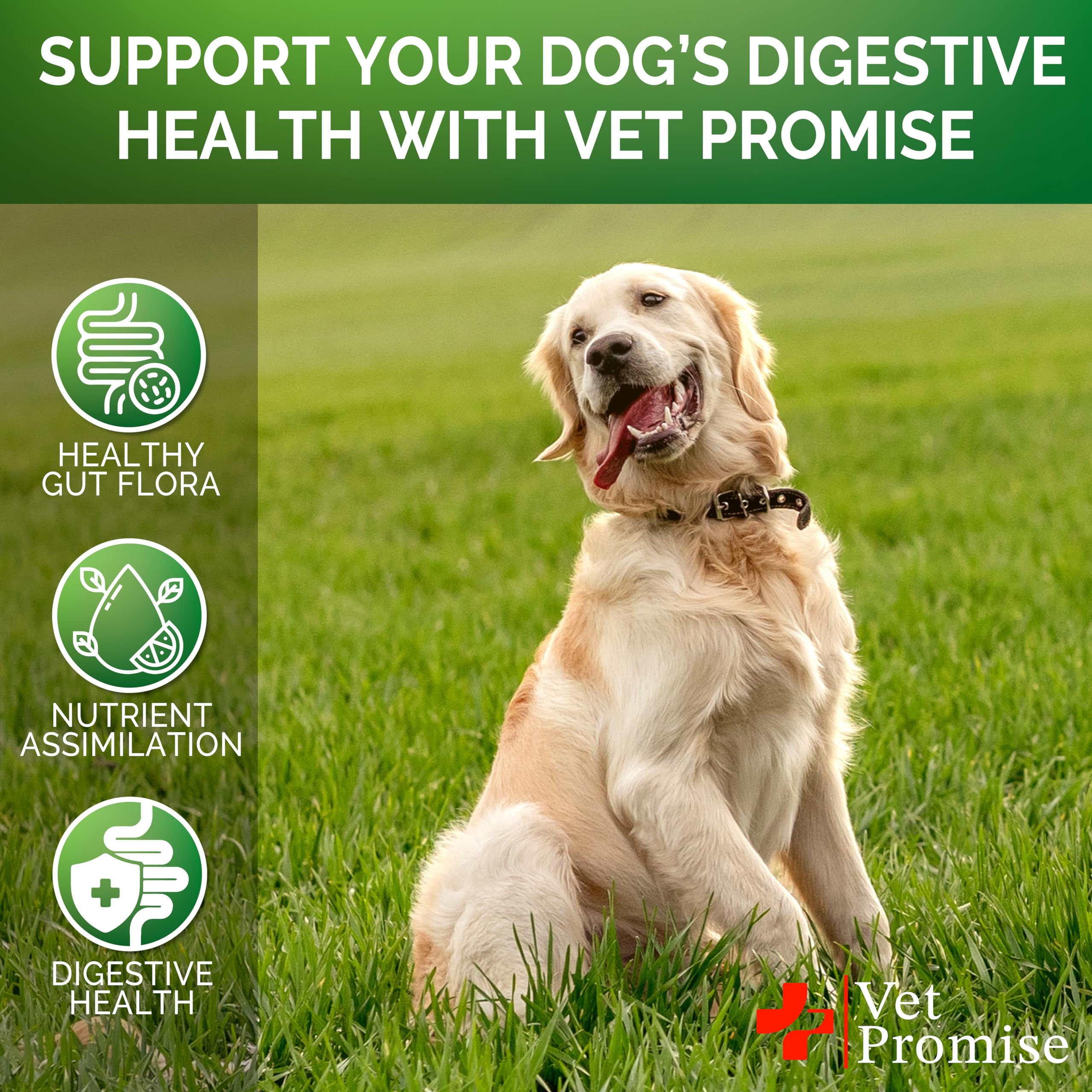 Vet Promise probióticos para perros - empaque compacto para almacenamiento y transporte.