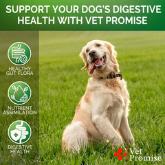 Vet Promise probióticos para perros - empaque compacto para almacenamiento y transporte.