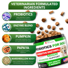 Vet Promise probióticos para perros - etiqueta frontal con beneficios y uso recomendado.
