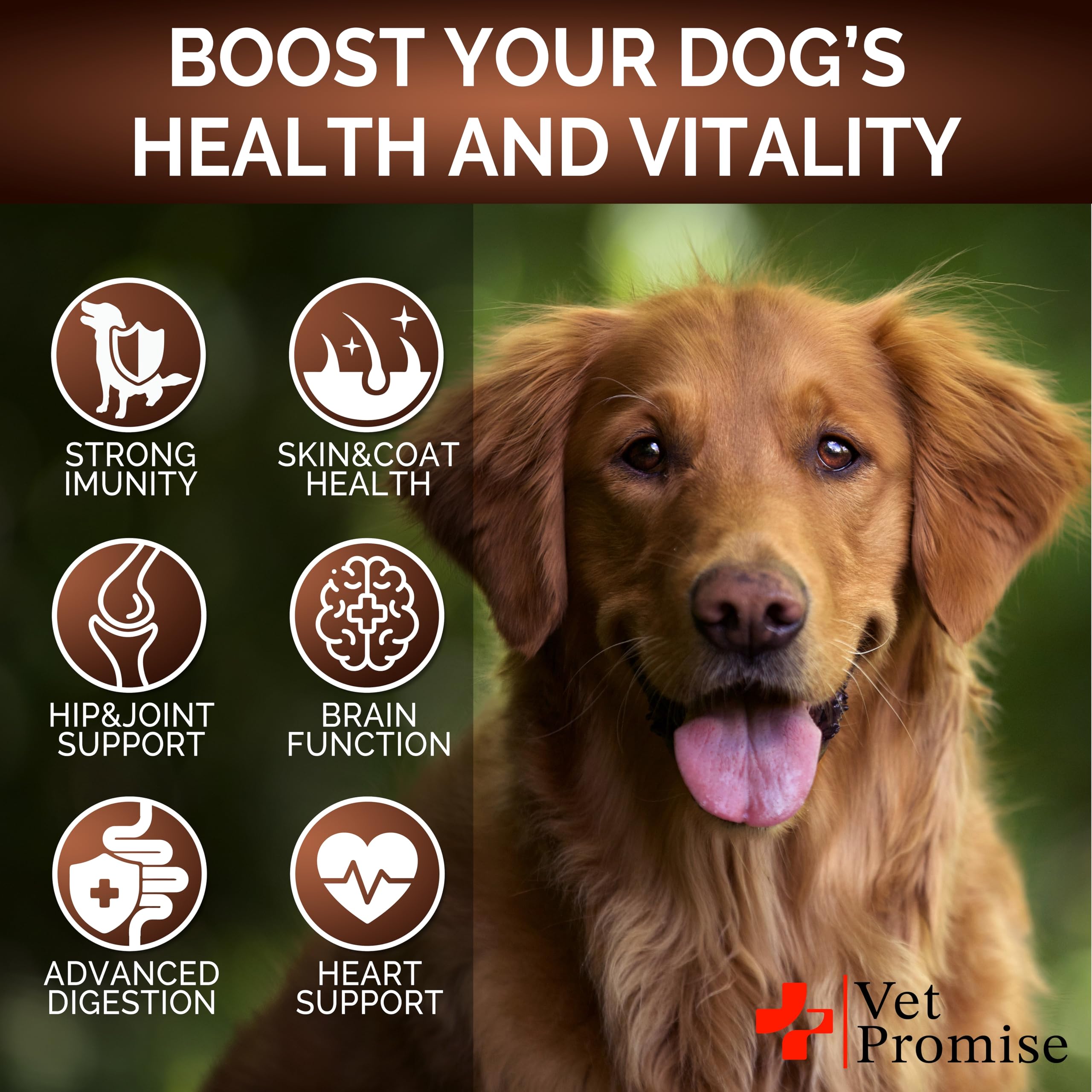 Vet Promise reishi para perros, soporte articular y energía sostenida.