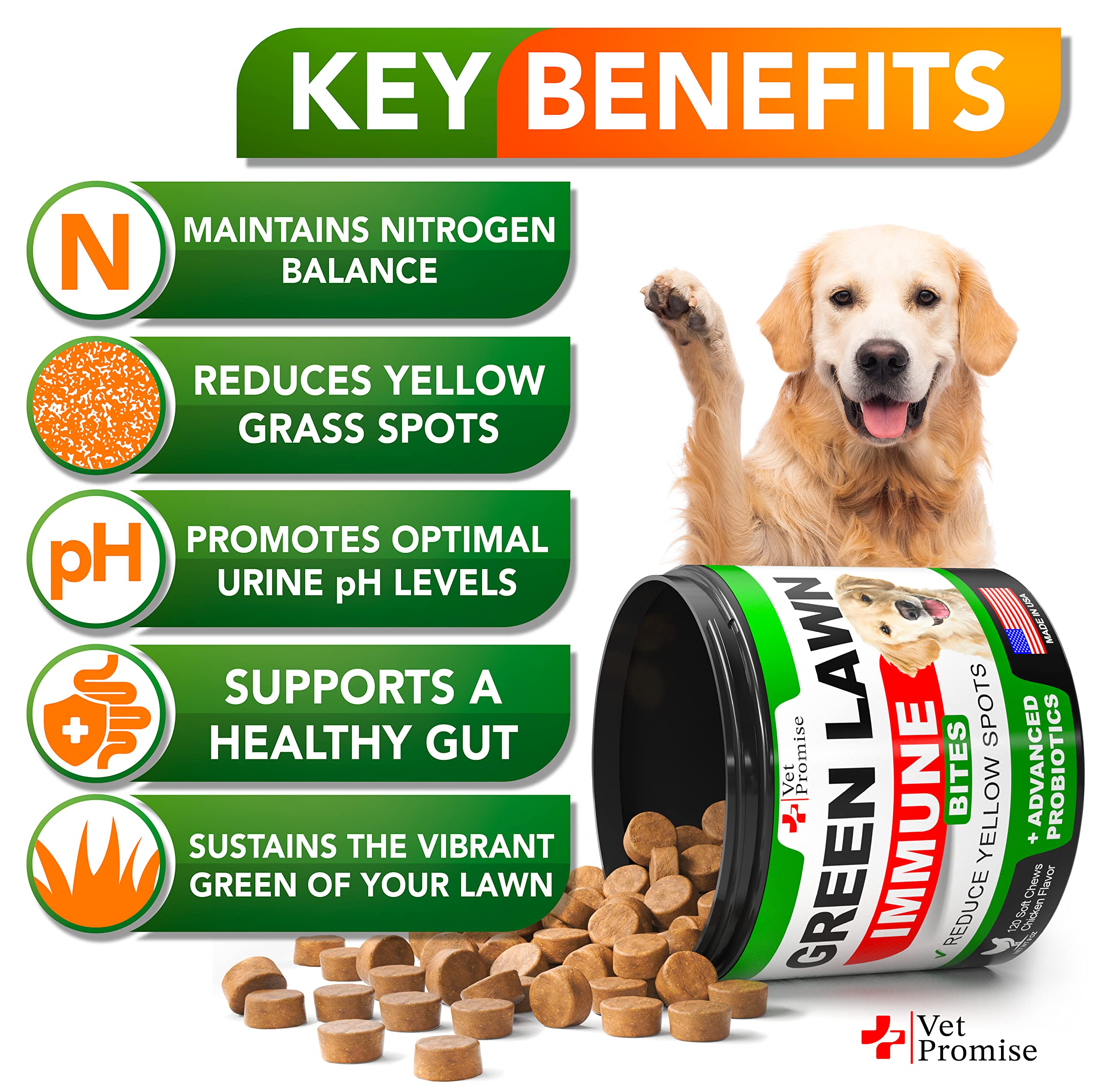 Vet Promise salud urinaria: apoya una orina más equilibrada en perros.