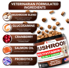 Vet Promise suplemento de hongo con probióticos para perro, cuidado digestivo suave.