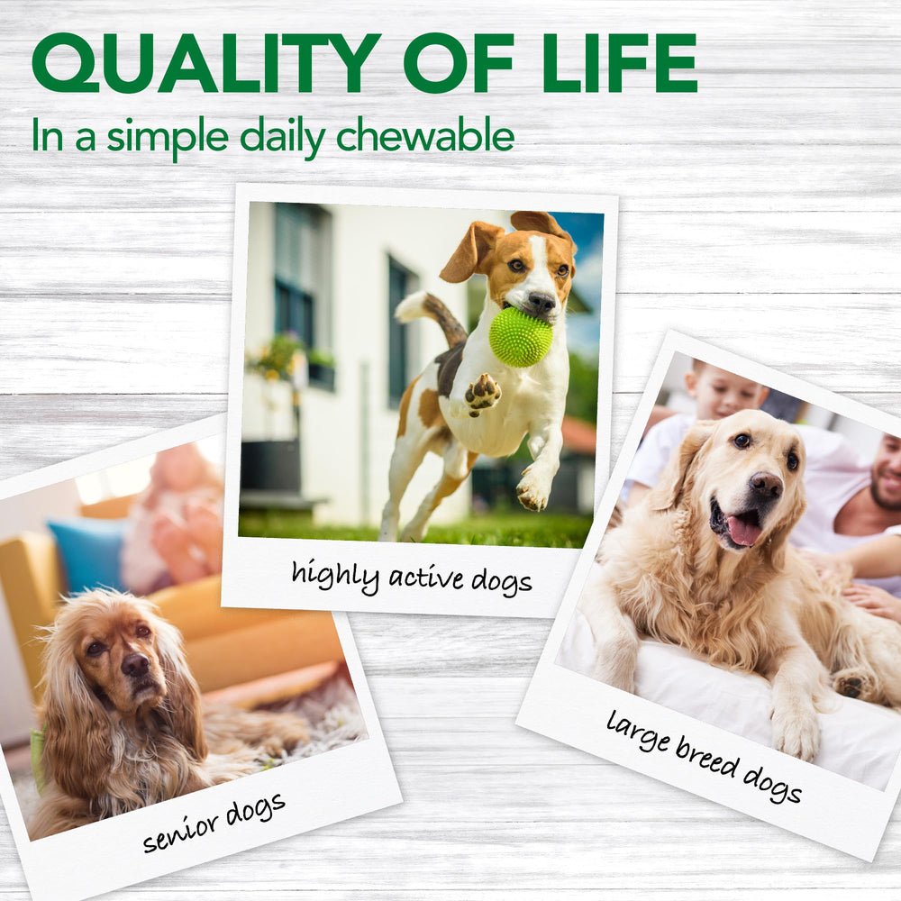 Fórmula a base de plantas de Vet's Best para perros