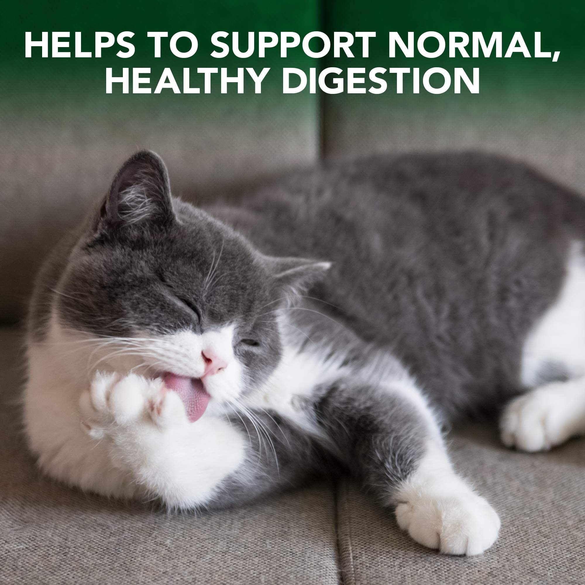 Vet's Best Cat Hairball Relief: fórmula veterinaria para soporte digestivo diario.