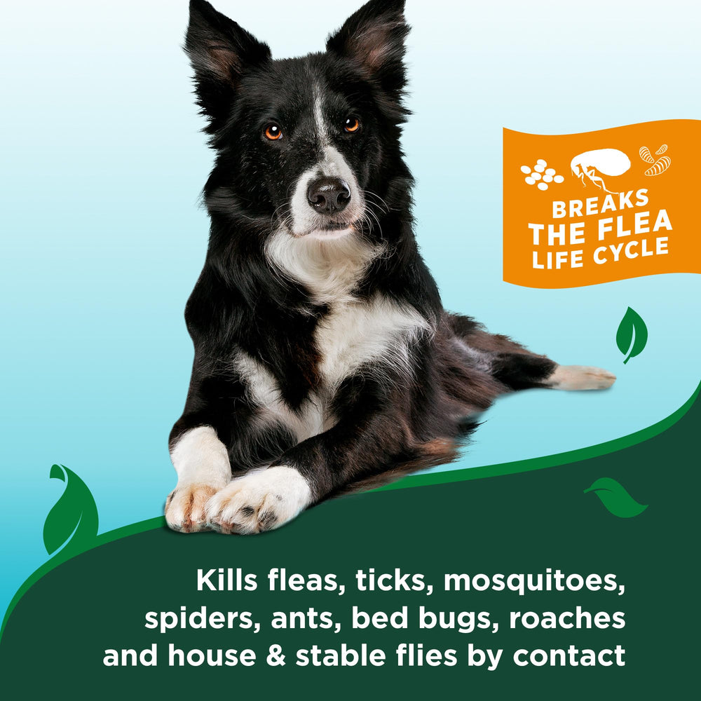 Vet's Best champú natural para perros, fórmula a base de plantas sin químicos agresivos