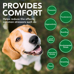 Paquete de Vet’s Best Comfort Calm, empaque práctico para uso diario.