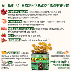 Probioticos y antioxidantes en Vet Treat para digestión y piel.