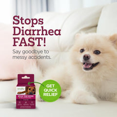 Emballage Vetality Stop The Runs six comprimés, solution pratique pour la diarrhée canine.