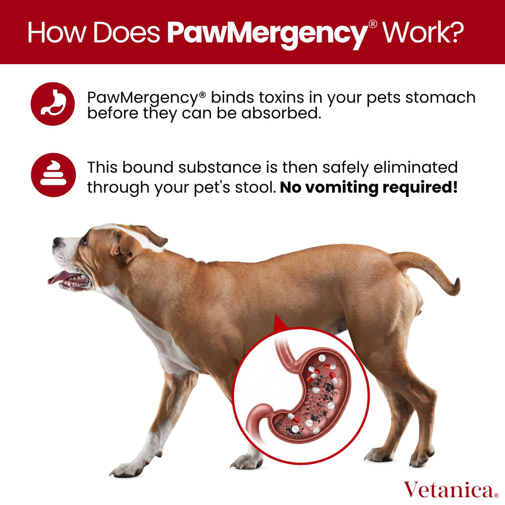 Vetanica PawMergency: uso fácil sin polvo ni pastillas