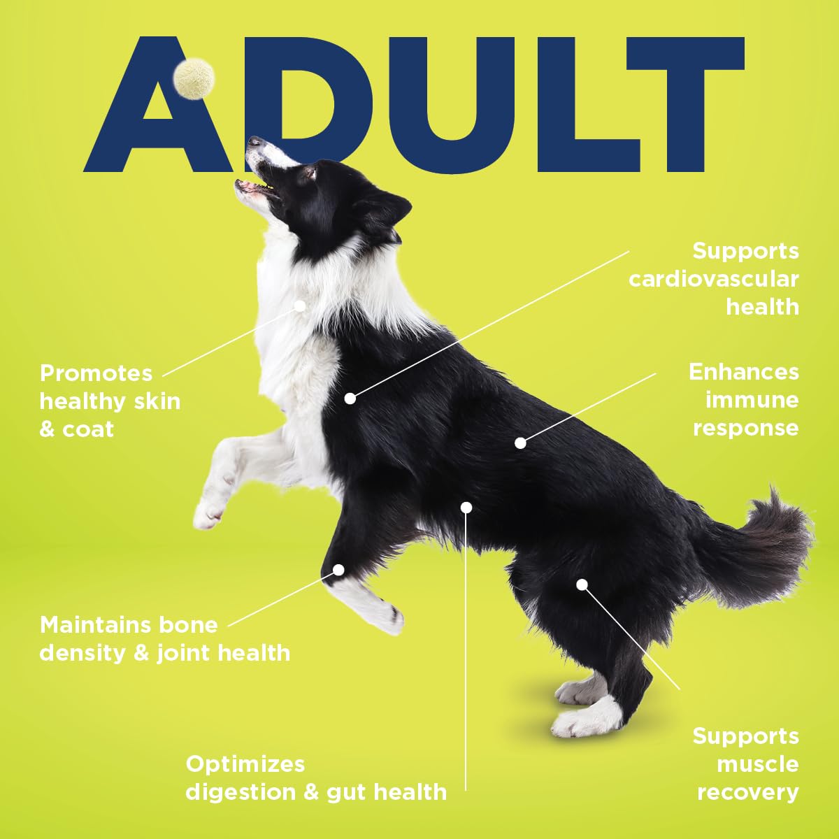 Vetericyn All-in-1 con calcio y vitamina D3 para huesos fuertes
