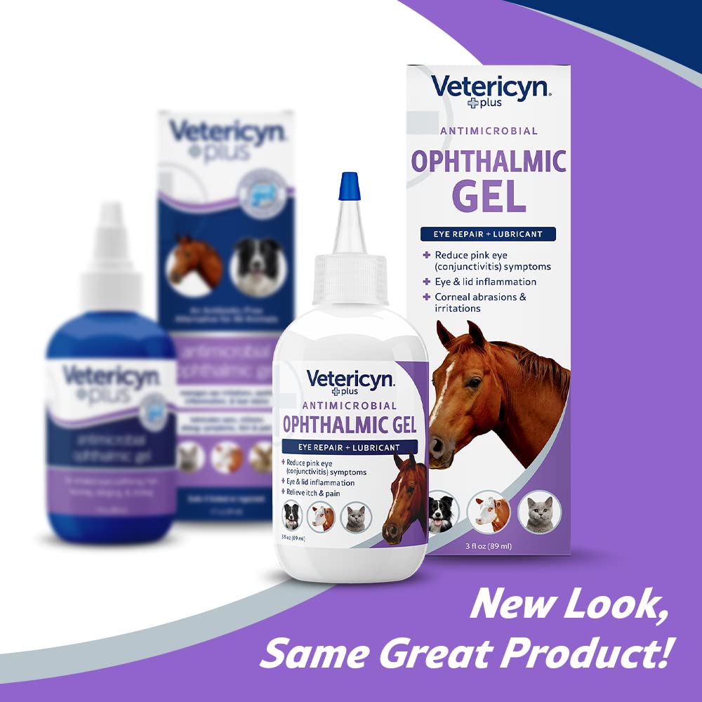 Aplicador suave para ojos de caballos durante tratamientos
