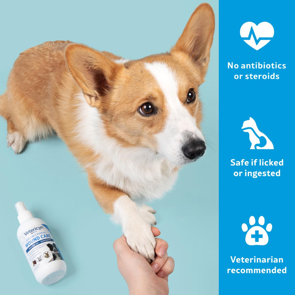 Cuidado de mascotas con Vetericyn Plus en casa