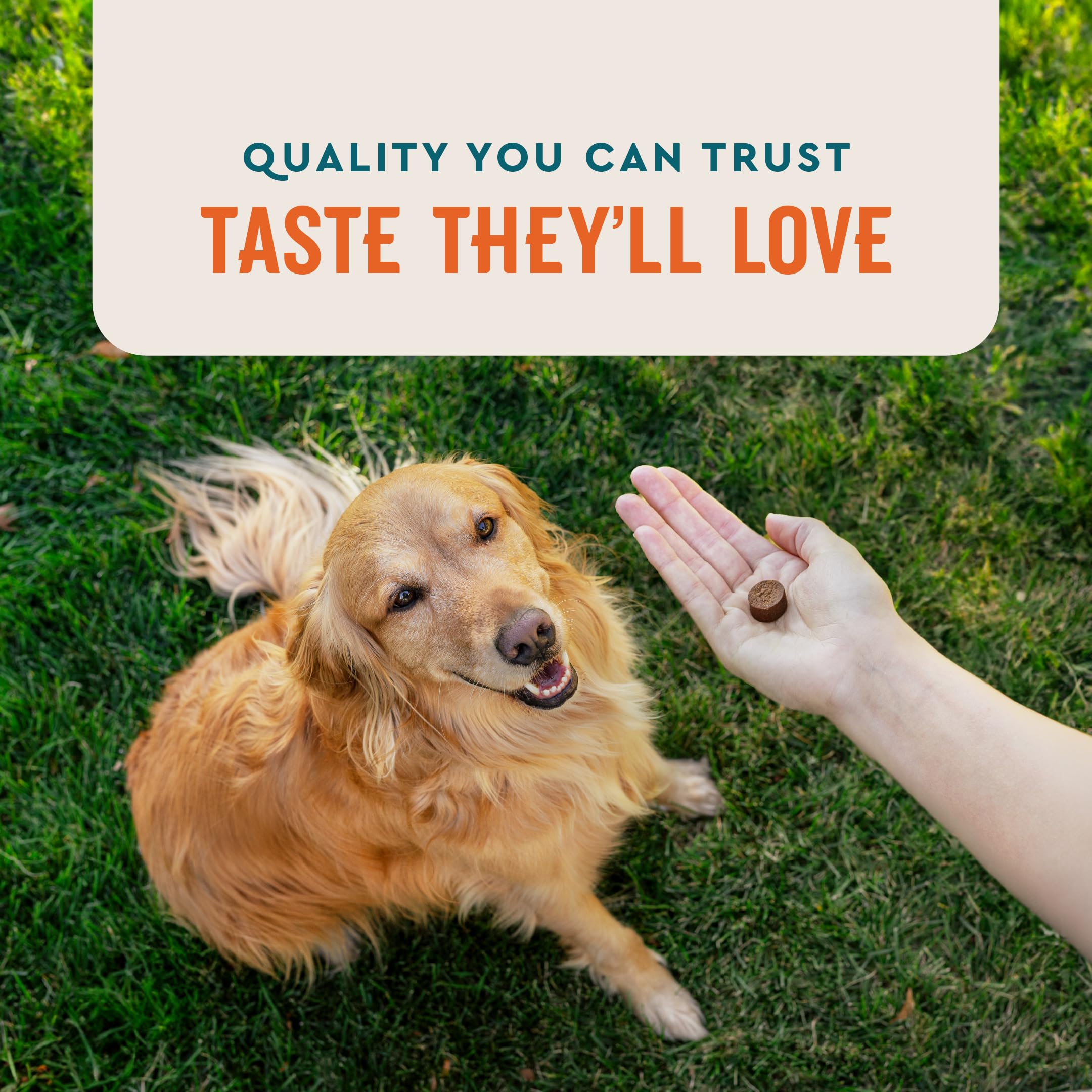 VetIQ Allergy Pro+ complemento para perros junto a su comida habitual