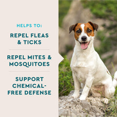 VetIQ Flea & Tick Support pouch, daily dog supplement for pest defense.