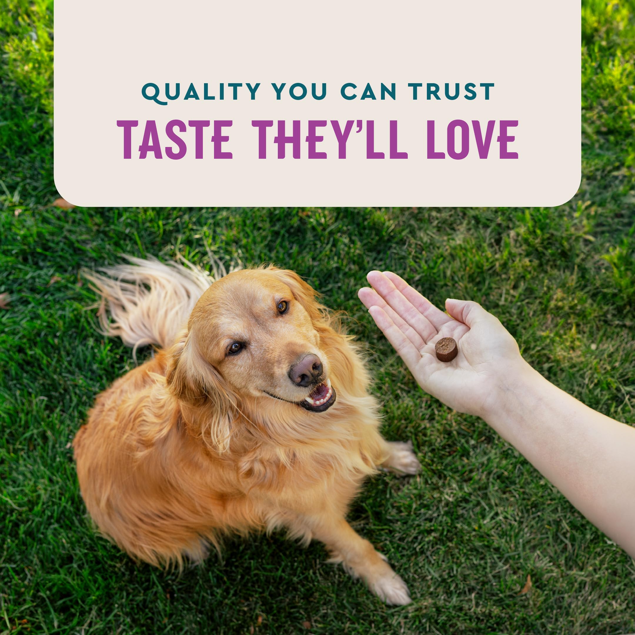 VetIQ gomitas calmantes para perros, empaque sencillo que apoya comportamientos equilibrados.