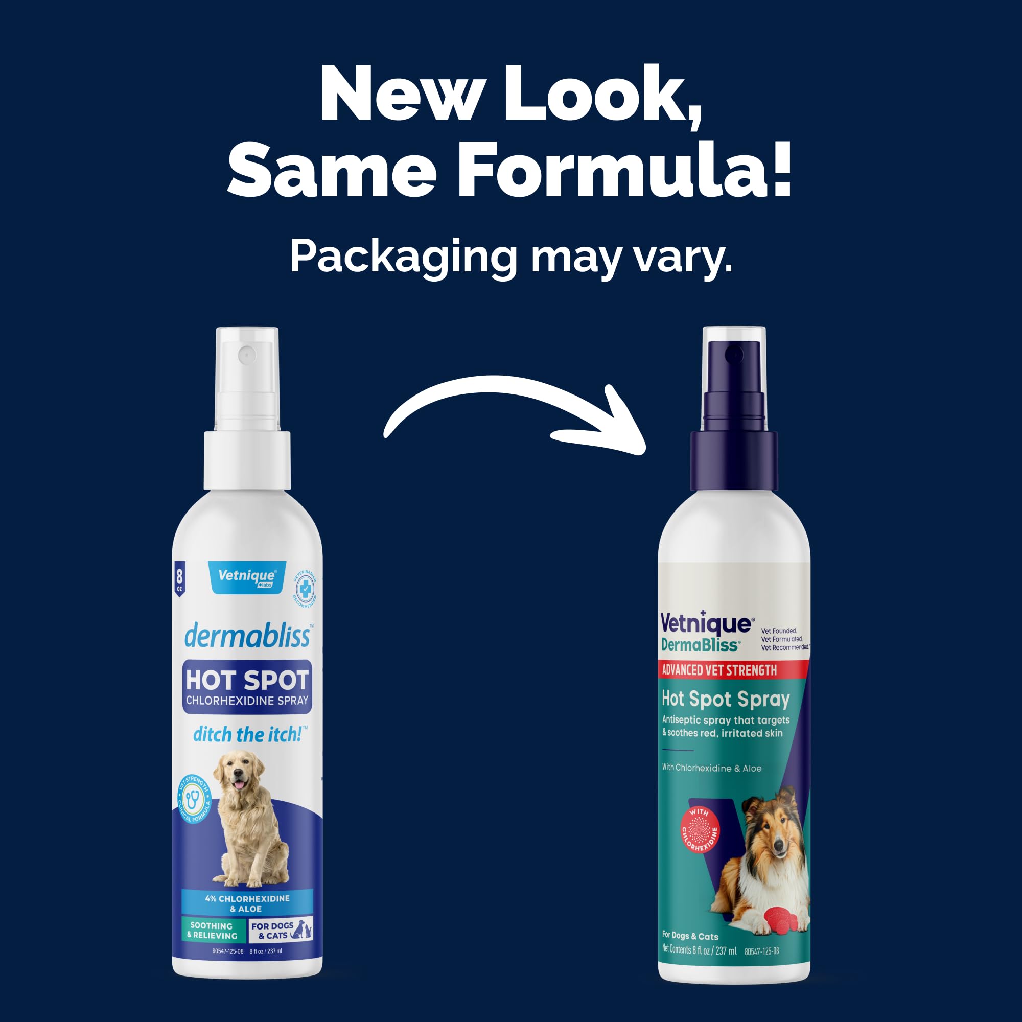 Aplicación de Dermabliss en piel irritada de un perro.