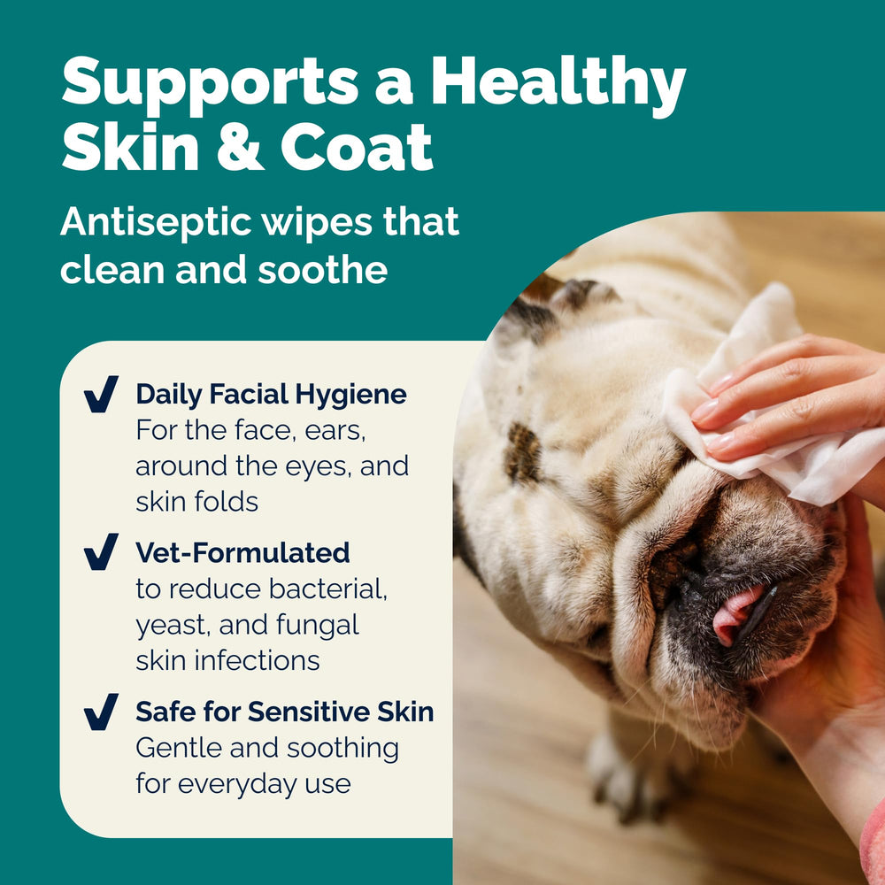Dermabliss de Vetnique: envase práctico, ideal para peluquería canina.
