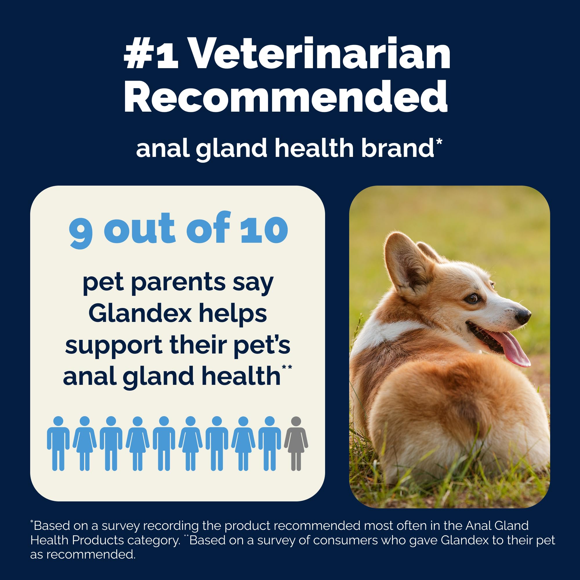 Glandex Vetnique probióticos para perros, soporte digestivo diario.