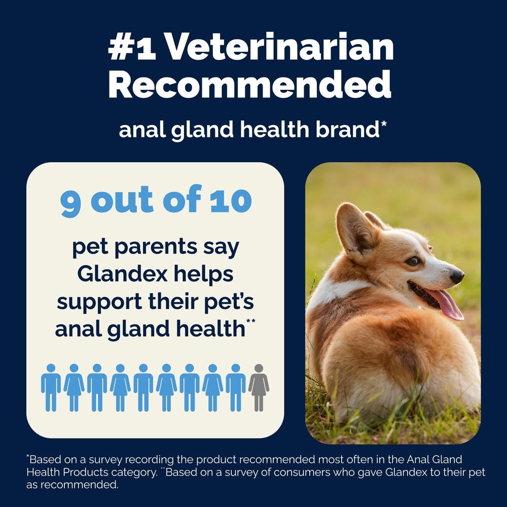 Glandex Vetnique probióticos para perros, soporte digestivo diario.