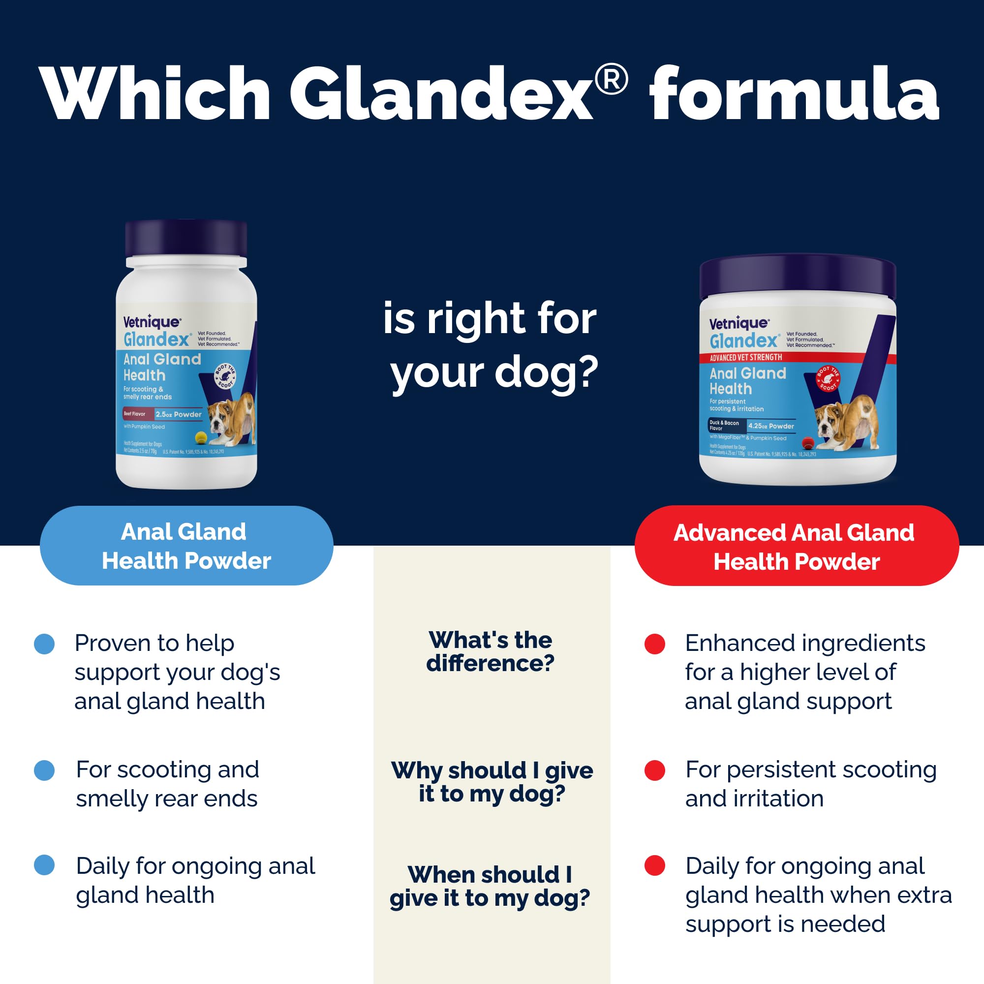 Vetnique Glandex frasco, presentación práctica para dosis diaria.