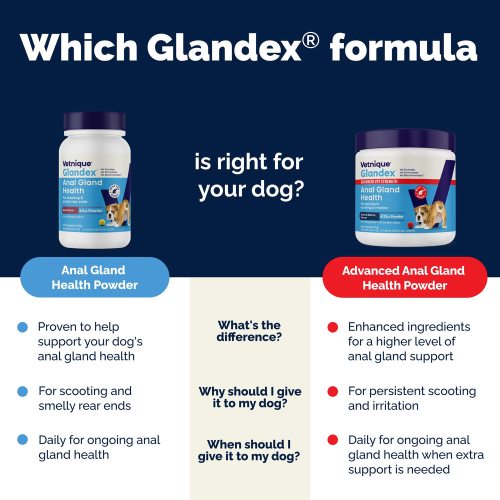 Vetnique Glandex frasco, presentación práctica para dosis diaria.