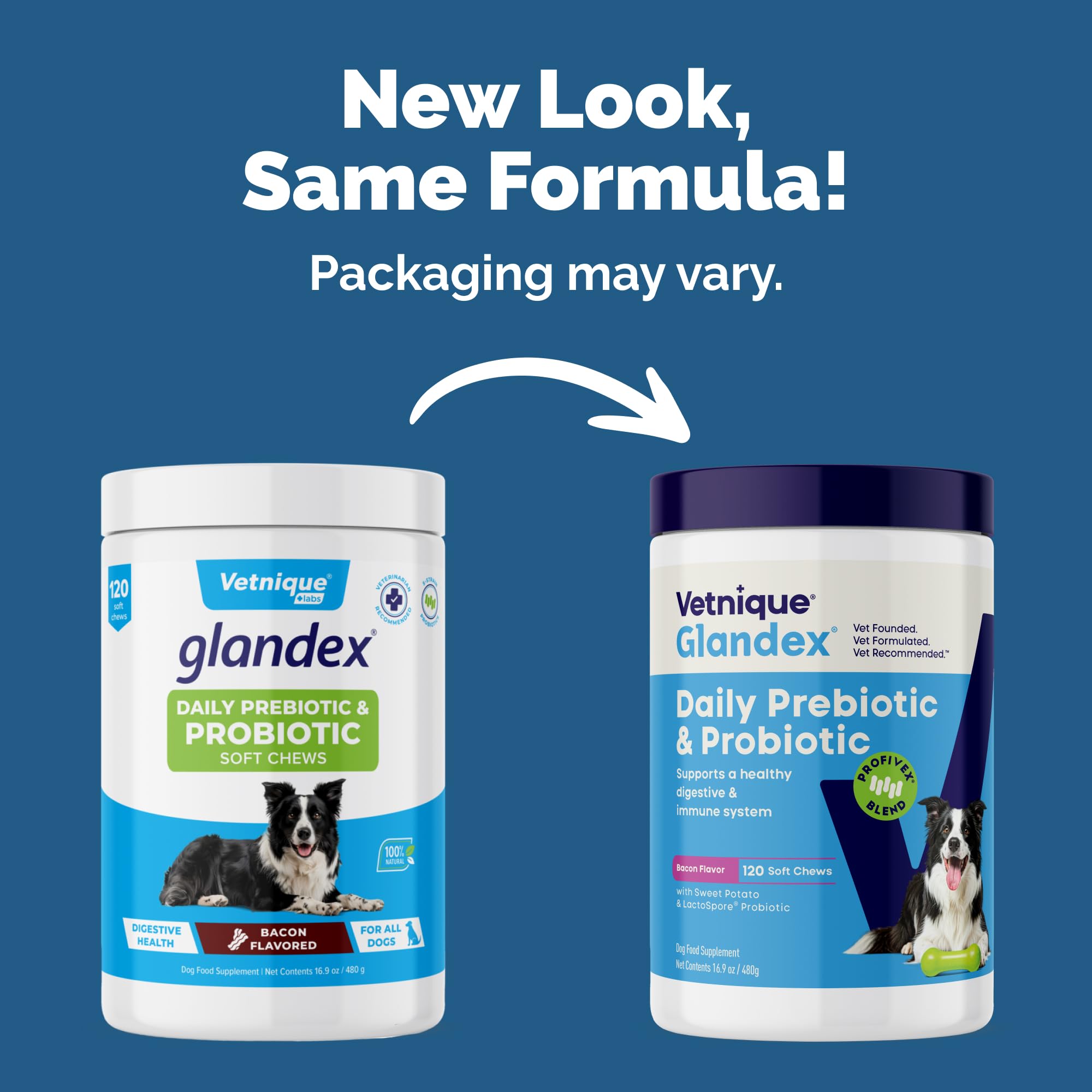 Glandex Vetnique polvo probiótico para perros, topper sabor tocino para comida diaria.