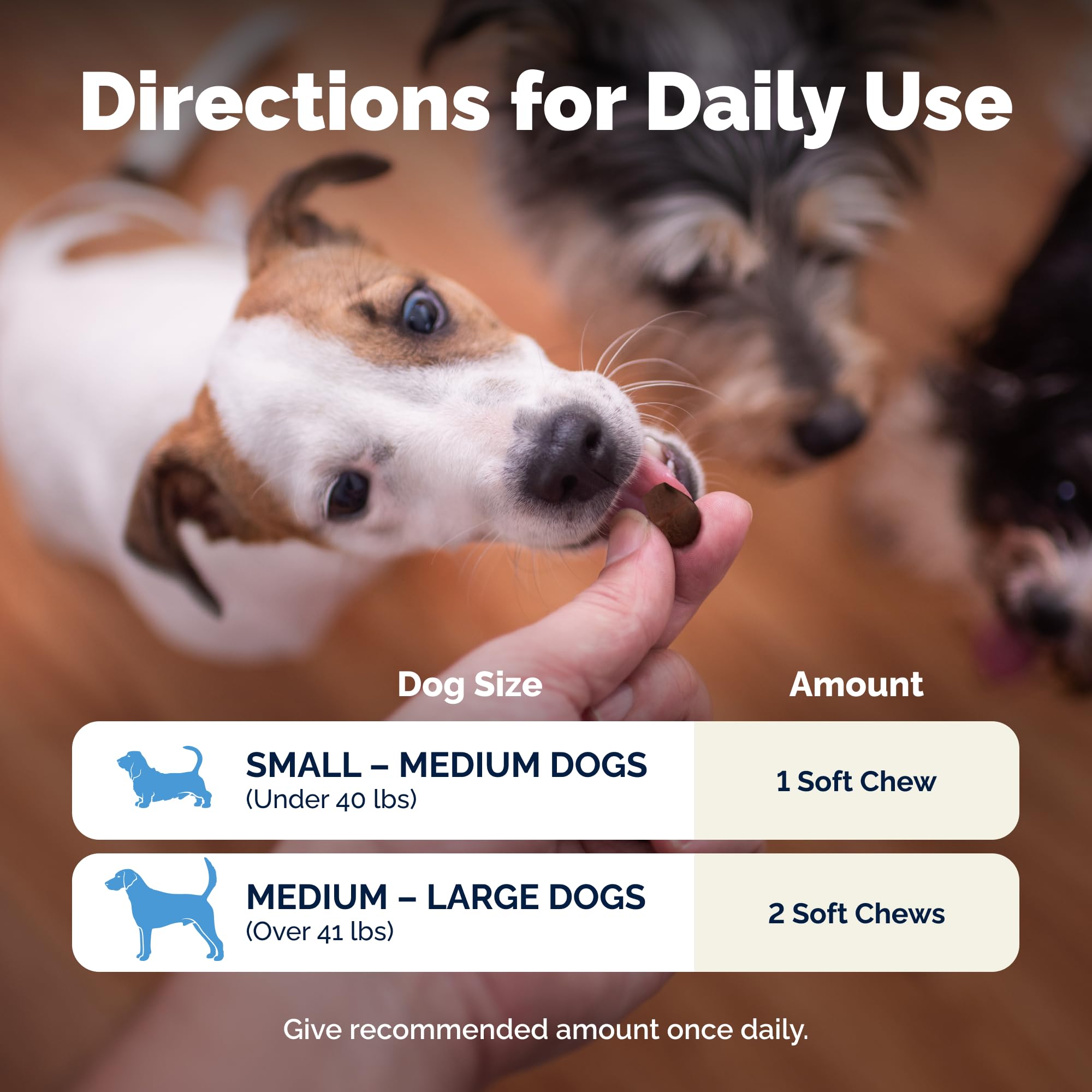 Glandex Vetnique recomendado por veterinarios, cuidado digestivo canino.