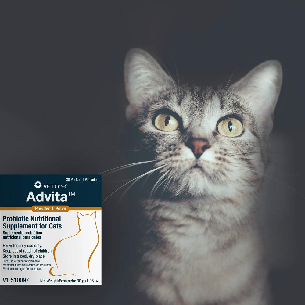 Mezcla Advita en la comida de gatos, uso diario fácil.