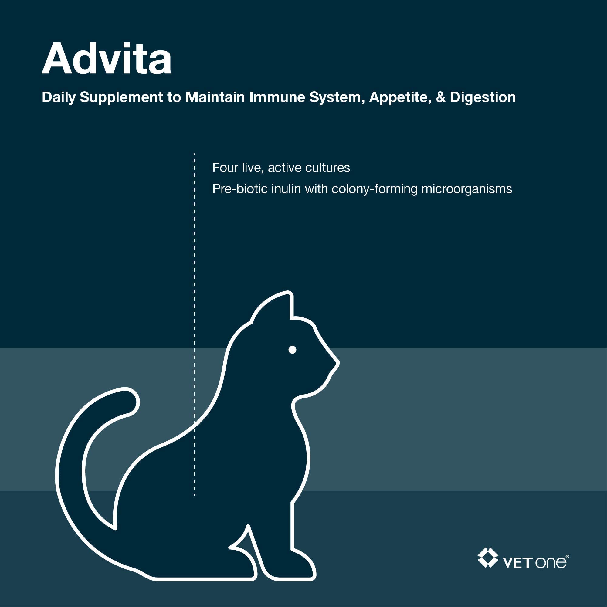 Vet One Advita polvo probiótico para gatos, mejora la digestión y la energía.