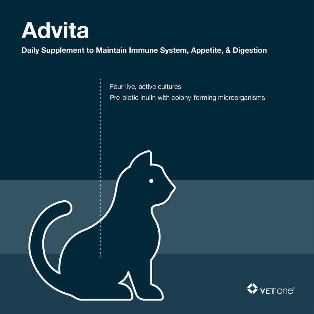 Vet One Advita polvo probiótico para gatos, mejora la digestión y la energía.