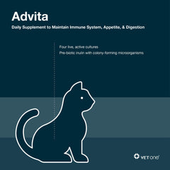 Vet One Advita polvo probiótico para gatos, mejora la digestión y la energía.