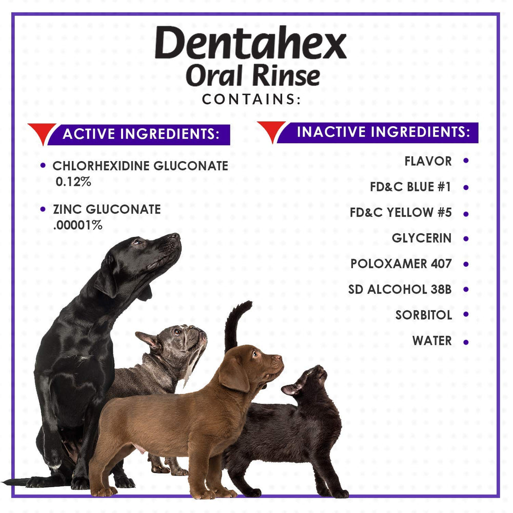 Dentahex reducción de placa dental en mascotas