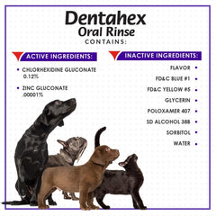 Dentahex reducción de placa dental en mascotas