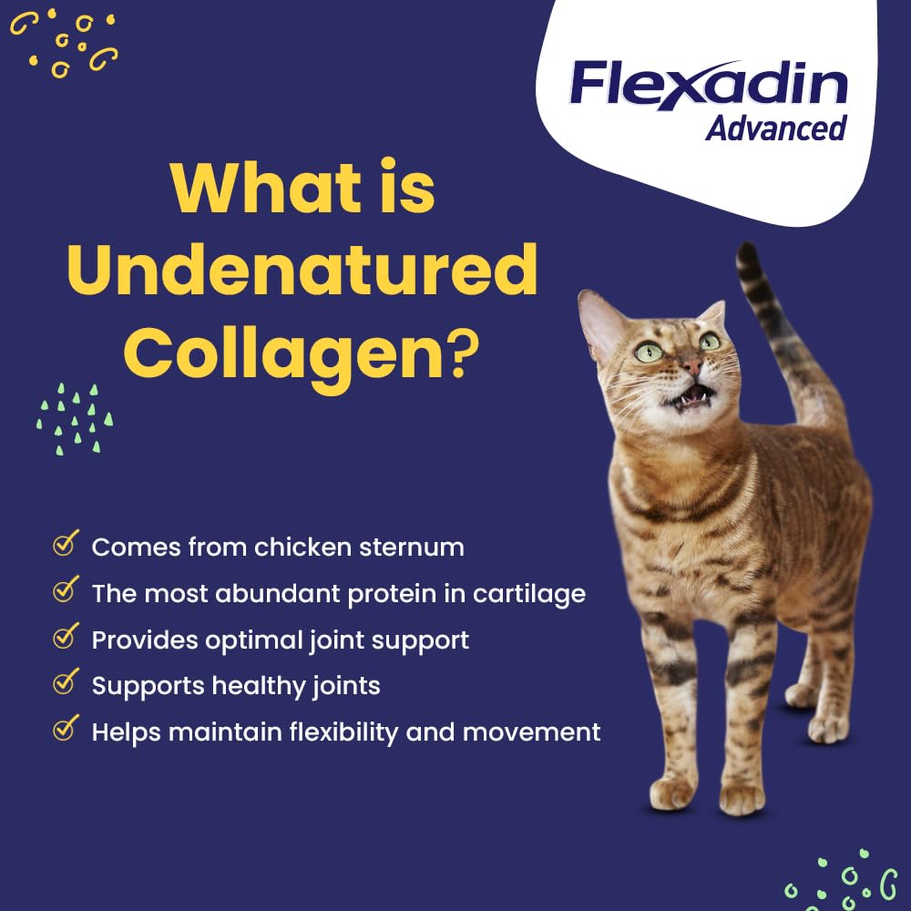 Vetoquinol Flexadin Advanced, masticables con aroma apetecible para uso diario.
