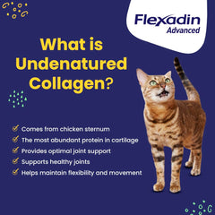 Vetoquinol Flexadin Advanced, masticables con aroma apetecible para uso diario.