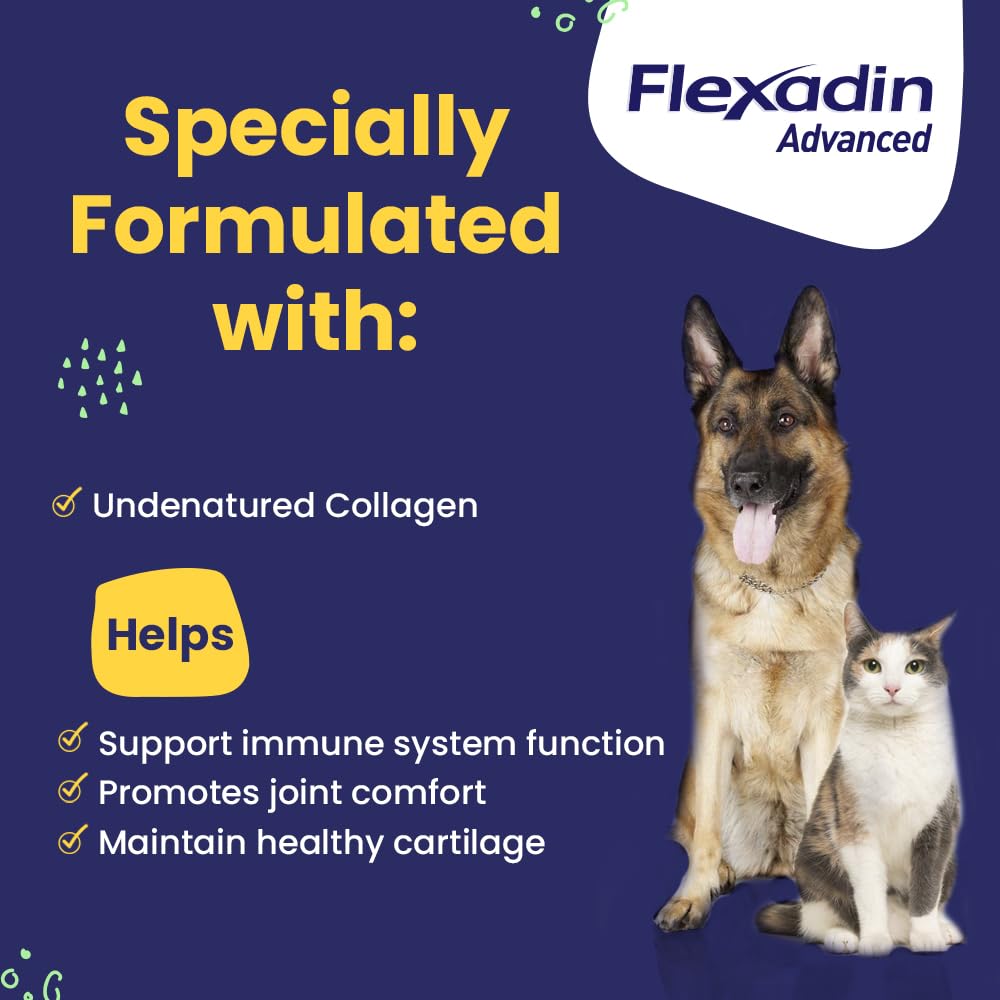 Primer plano de masticables Flexadin Avanzado con textura sabrosa para mascotas.