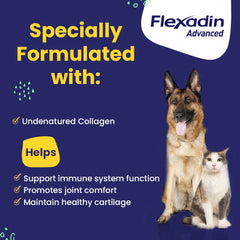 Primer plano de masticables Flexadin Avanzado con textura sabrosa para mascotas.