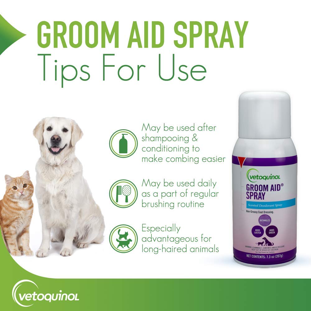 Textura no grasa de Groom-Aid, se absorbe rápidamente.
